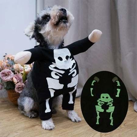 Dog panda suit 2025