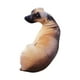 thumbnail image 1 of Almohada de perro 3D, juguete de peluche de animales de peluche, reposacabezas cómodo abrazando a los niños acompañan juguetes para la decoración de, 1 of 8