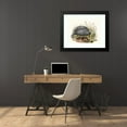 thumbnail image 4 of Joseph Smit 24x19 Black Modern Framed Museum Art Print Titled - Numida Mitrator. (1872), 4 of 5