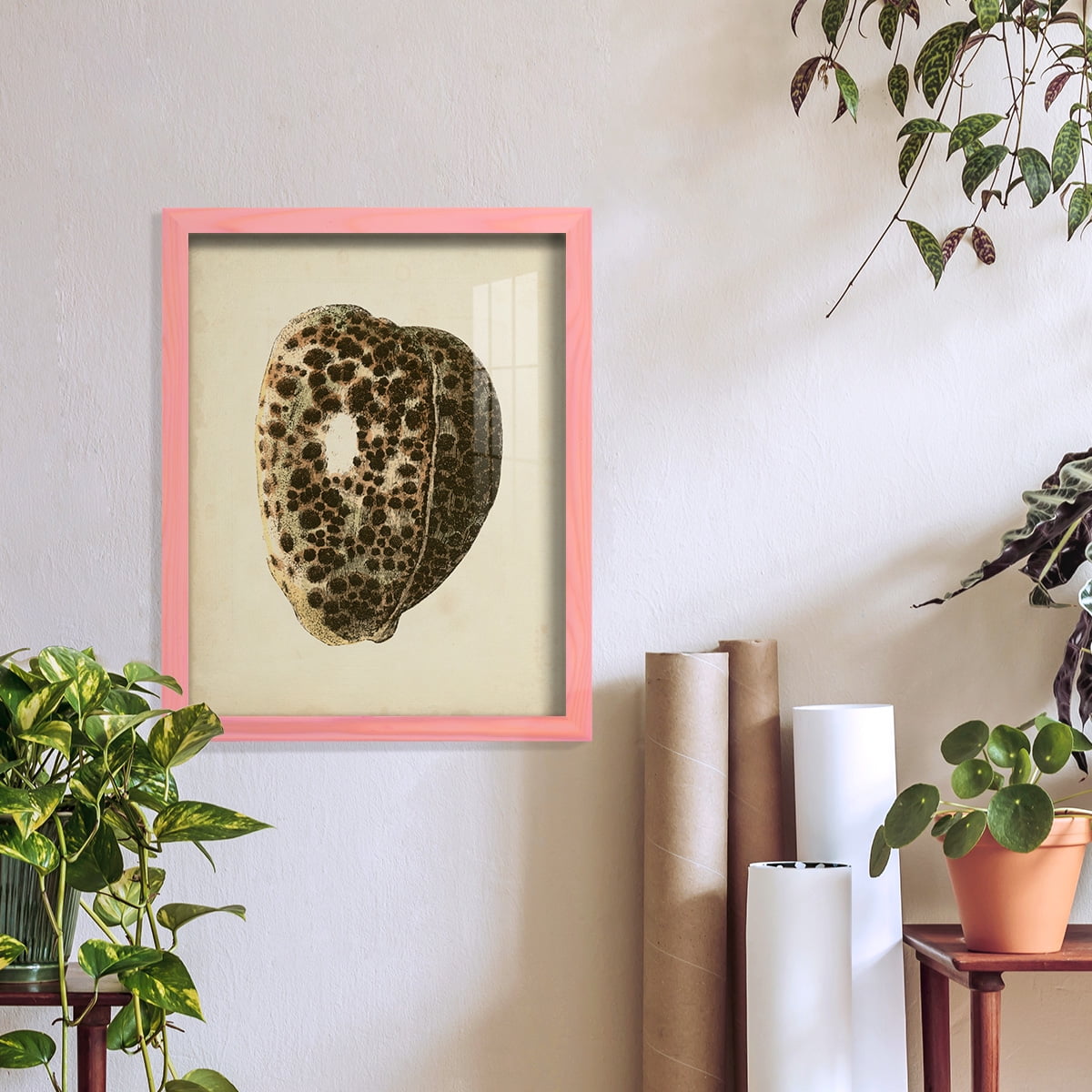 Sealife Collection III - Framed Print w/glass - Sunset Pink