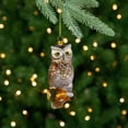 thumbnail image 2 of Northlight 5" Glittery Glass Perched Owl on a Branch Christmas Ornament - Gold/Silver, 2 of 5