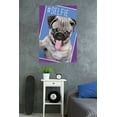 thumbnail image 2 of Keith Kimberlin - Kittens - Pug - Selfie Wall Poster, 22.375" x 34", 2 of 2