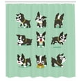 thumbnail image 3 of Boston Terrier Shower Curtain, Cartoon Character Minimalist Design of Playful Dog, Fabric Bathroom Set with Hooks, 69W X 84L Inches Extra Long, Mint Green Charcoal Grey and White, by Ambesonne, 3 of 3