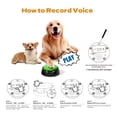 thumbnail image 3 of Botones de grabación de voz ipawspace Dog Training, paquete de 4, 3 of 9