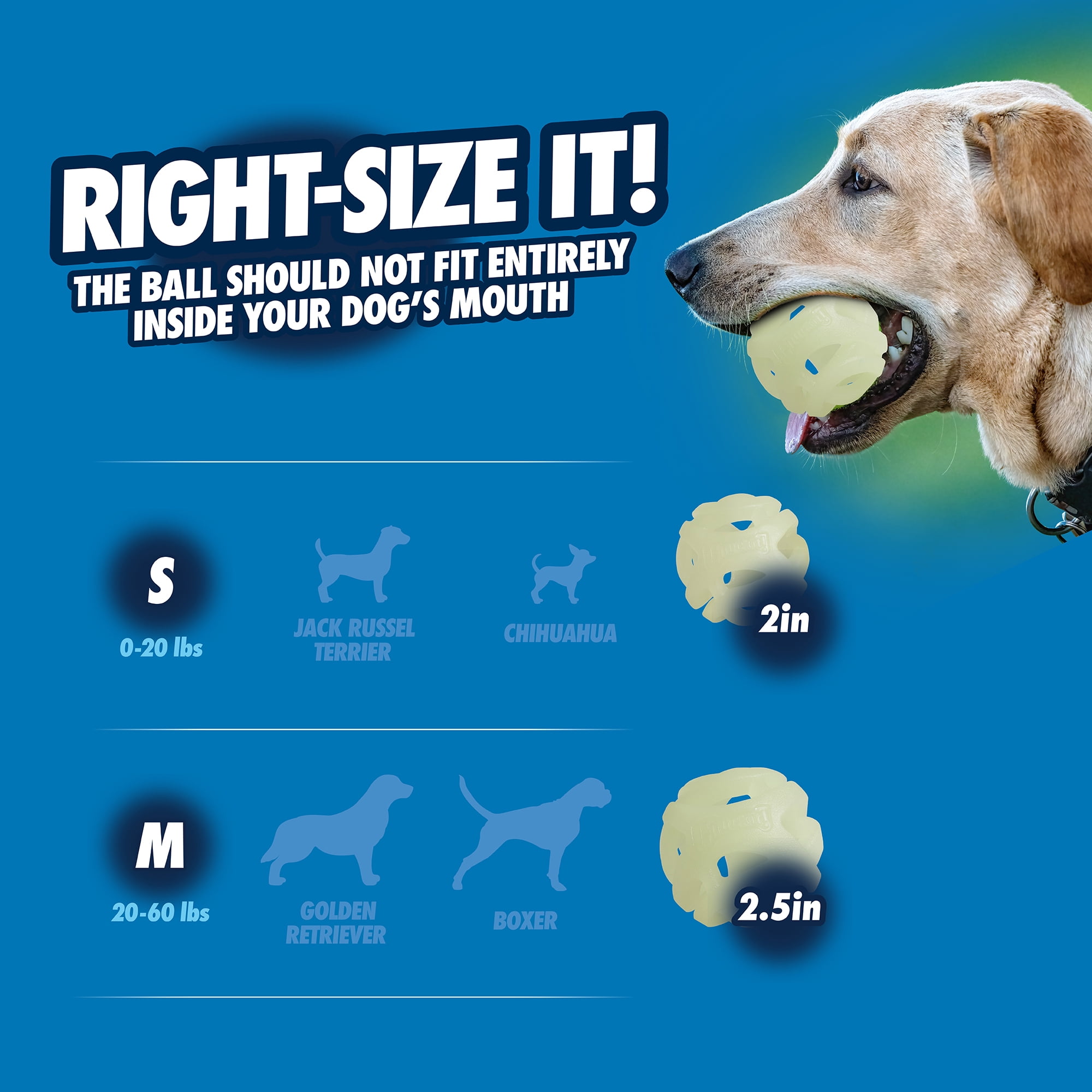 Chuckit! Air Glow Fetch Hard Breathe Easy Dog Ball Rubber Toy For Dogs, Medium 2.5", For Breeds 20 to 60 lb, Pack of 2, White Glow In The Dark