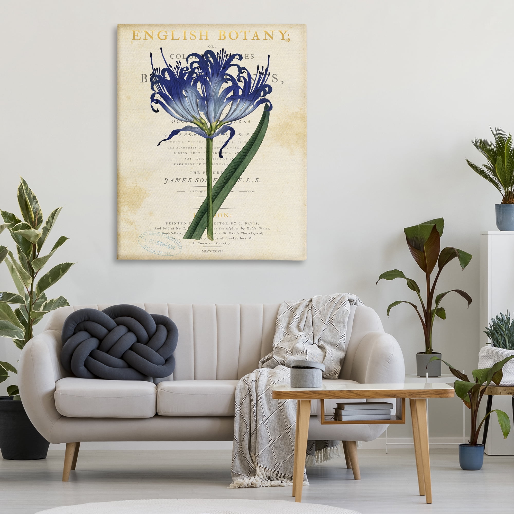 Stupell Industries English Botany Blue Floral Canvas Wall Art, design by Susan Arnot