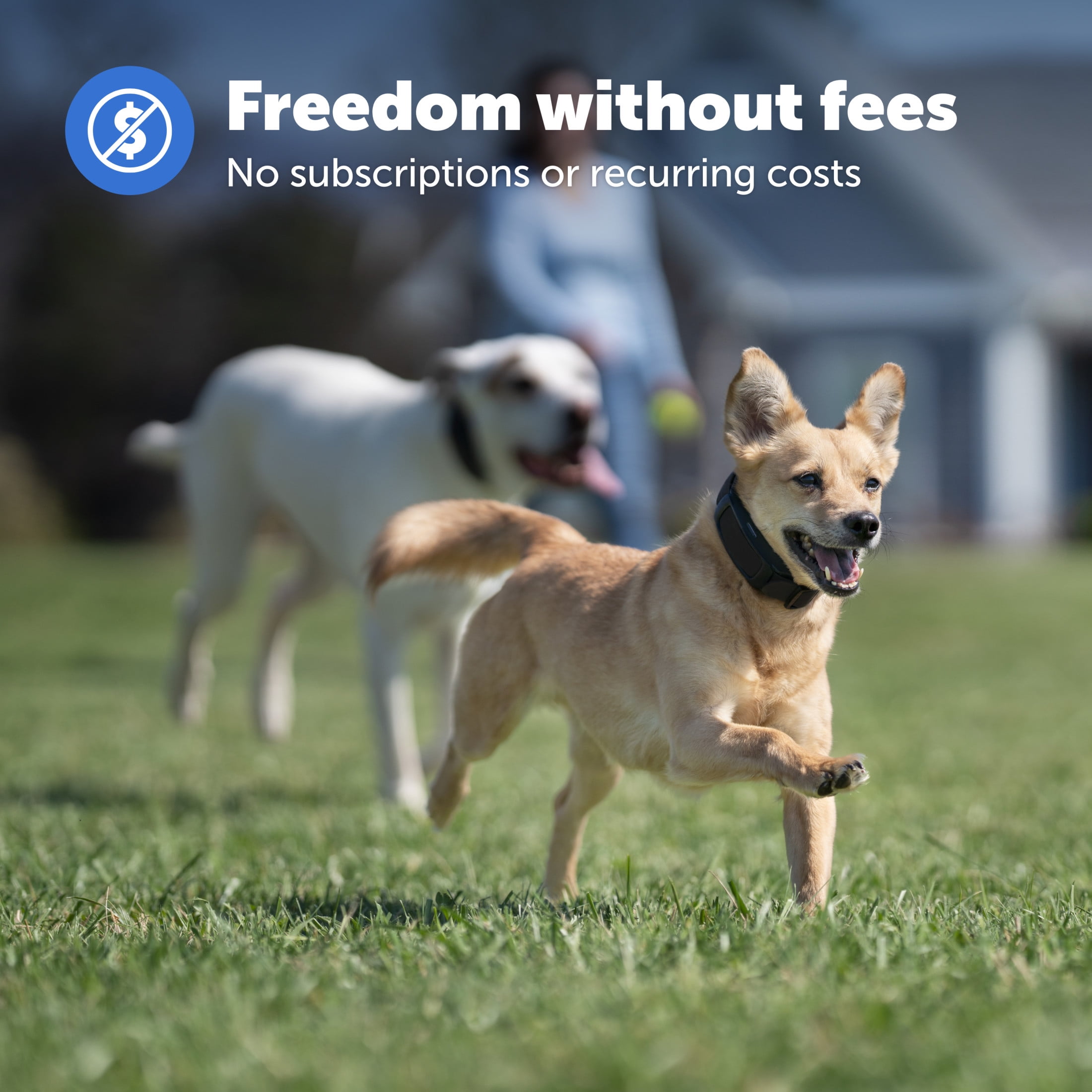 PetSafe Guardian GPS Dog Fence  No Subscription  Create Your Own Wireless Dog Fence  Single-Yard Fence for Yards 3/4 Acres or Larger  World's Safest GPS Dog Fence Tech  New, Redesigned Collar