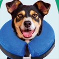 thumbnail image 2 of Collar Inflable Protector para Perros y Gatos - Collar de Recuperación Suave para Mascotas Que No Bloquea la Visión, Gris M, 2 of 6