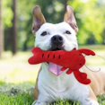 thumbnail image 2 of Squeaky Dog Plush Toy Fruit Chew Toy For Puppies And Small Dogs Washable Cotton Fabric TeethCleaning And Gum Massage, 2 of 5