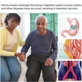 thumbnail image 5 of Men's Inguinal Hernia Support Band Adjustable Inguinal Strap With 2 Removable Compression Pads Breathable Waistband For Single Or Double Inguinal Or S, 5 of 5