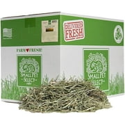Small Pet Select 2nd Cutting Perfect Blend Timothy Hay Pet Food for Rabbits, Guinea Pigs, Chinchillas and Other Small Animals, Premium Natural Hay Grown in The US, 25 LB