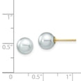 thumbnail image 3 of Primal Gold 14 Karat Yellow Gold 7-8mm Round Grey Saltwater Akoya Cultured Pearl Stud Post Earrings, 3 of 5