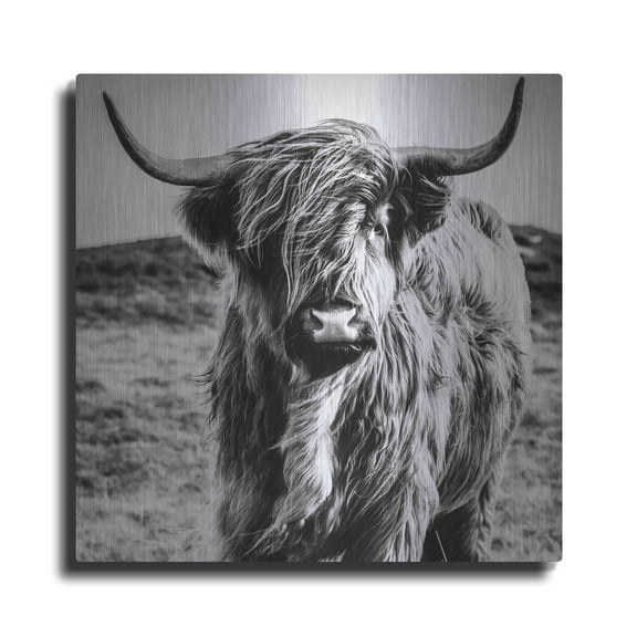 Luxe Metal Art 'Fluffy Cow' by Epic Portfolio Metal Wall Art, 36"x36"