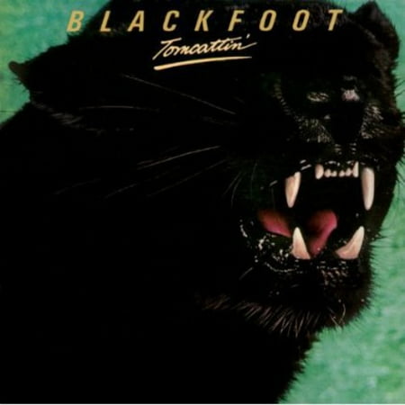 Blackfoot Tomcattin Blackfoot Tomcattin
