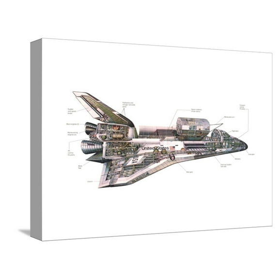 Art.com Cut-Away Diagram of the Space Shuttle Stretched Canvas Print Wall Art, 16" x 12"