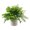 E, variant on POLISE Spaces Artificial Green Leaf Plant in Matte Pot Faux Bonsai for Desk, Shelf or Bathroom, Low-Maintenance Home & Office Decor, Realistic Fake Plant Gift