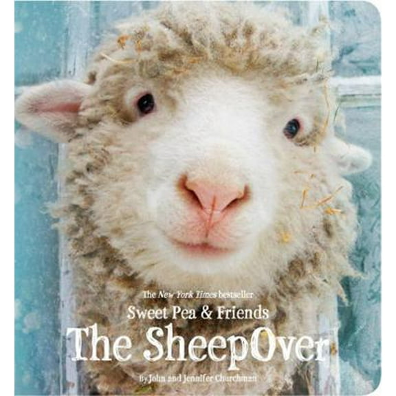 Pre-Owned The Sheepover (Board book) 0316273554 9780316273558