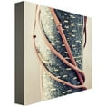 thumbnail image 2 of Trademark Art "Chained" Canvas Wall Art by Philippe Sainte-Laudy, 2 of 2