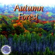 Autumn Forest