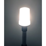 Pactrade Marine Pontoon Boat Bimini All Round Light Fold Down Anchor Stern Navigation Light
