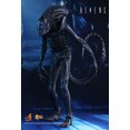 thumbnail image 5 of Figure Hot Toys MMS354 - Aliens - Alien Warrior, 5 of 5
