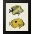 thumbnail image 2 of Unknown 12x14 Black Modern Framed Museum Art Print Titled - Yellow And Grey Fish III, 2 of 5