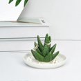 thumbnail image 2 of Porta anillos de aloe, plato de cactus para anillos, bandeja para joyas, organizador de anillos, pendientes y collares, para dama de honor, 13 x 13 x 10,5 cm, blanco y verde, 2 of 5