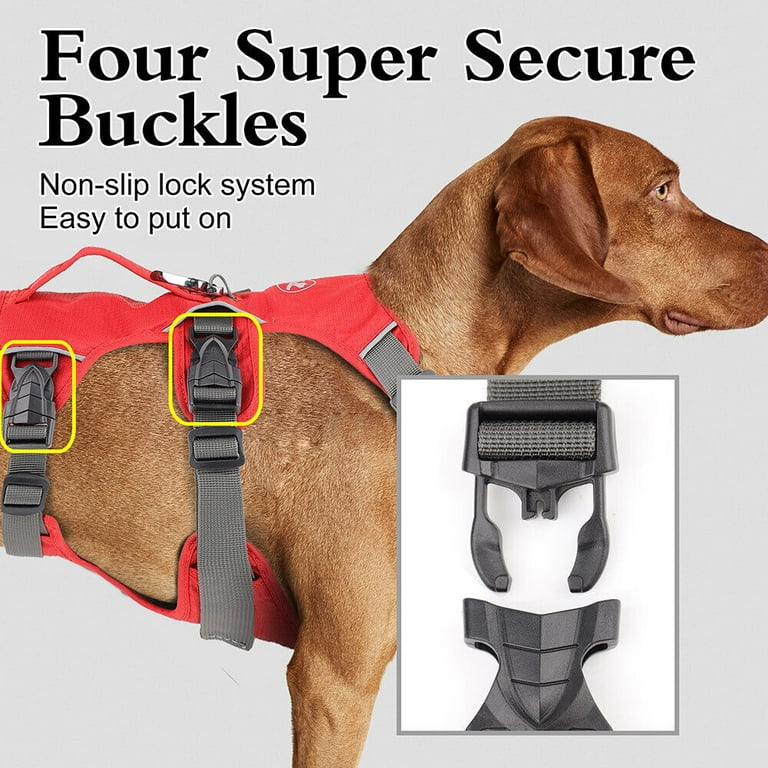 Non slip dog harness hotsell