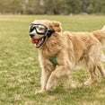 thumbnail image 2 of Gafas protectoras para mascotas resistentes al viento, con protección ocular y anti-UV. Diseño creativo para perros y cachorros (transparentes)., 2 of 7