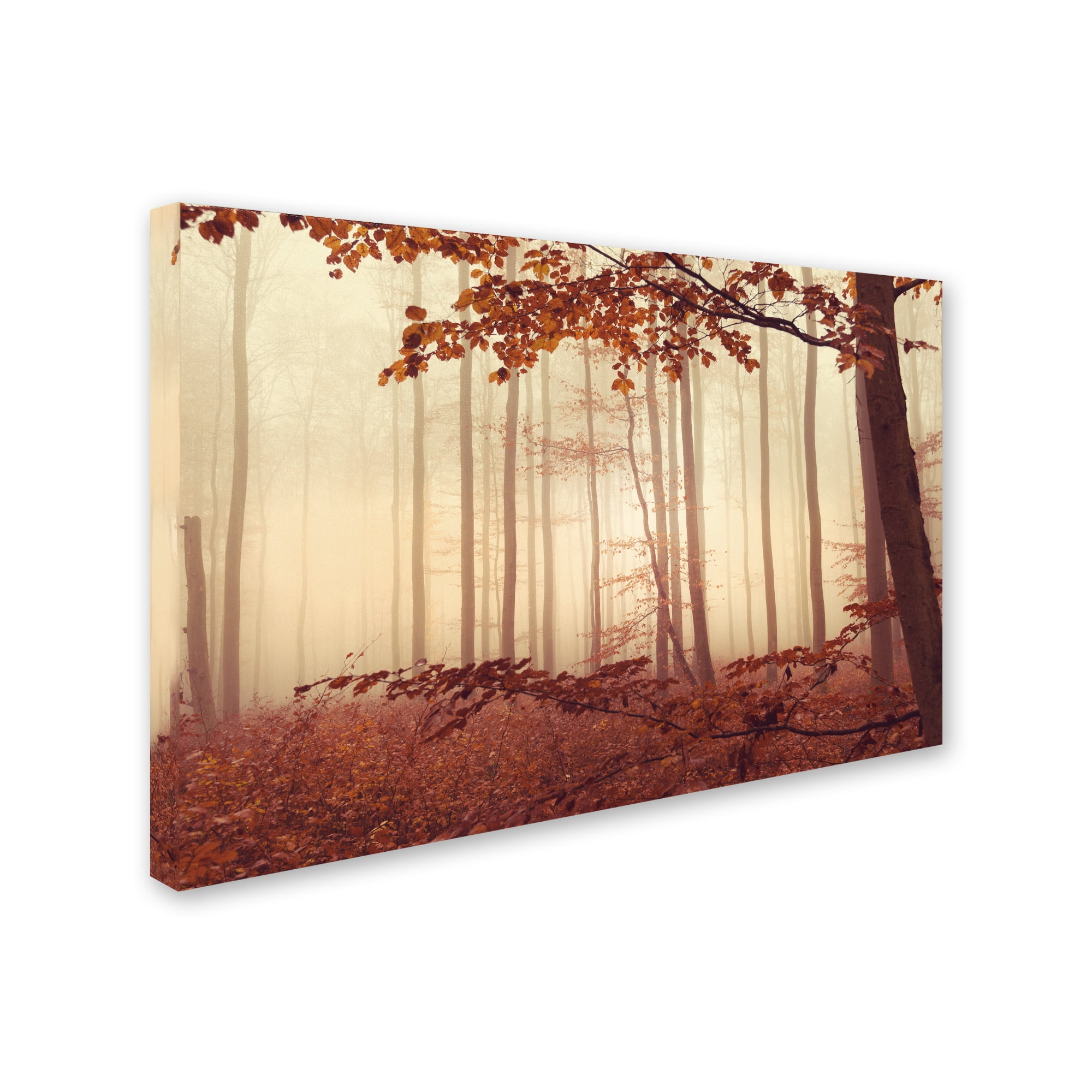 Trademark Fine Art "The Last of Fall" Canvas Art by Philippe Sainte-Laudy