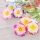 thumbnail image 3 of 20pcs Hawaiian Plumeria Flower Hair Clip with Pearls Barrettes for Beach Party Wedding Event (Mixed Color, 2pcs for Each Color), 3 of 3