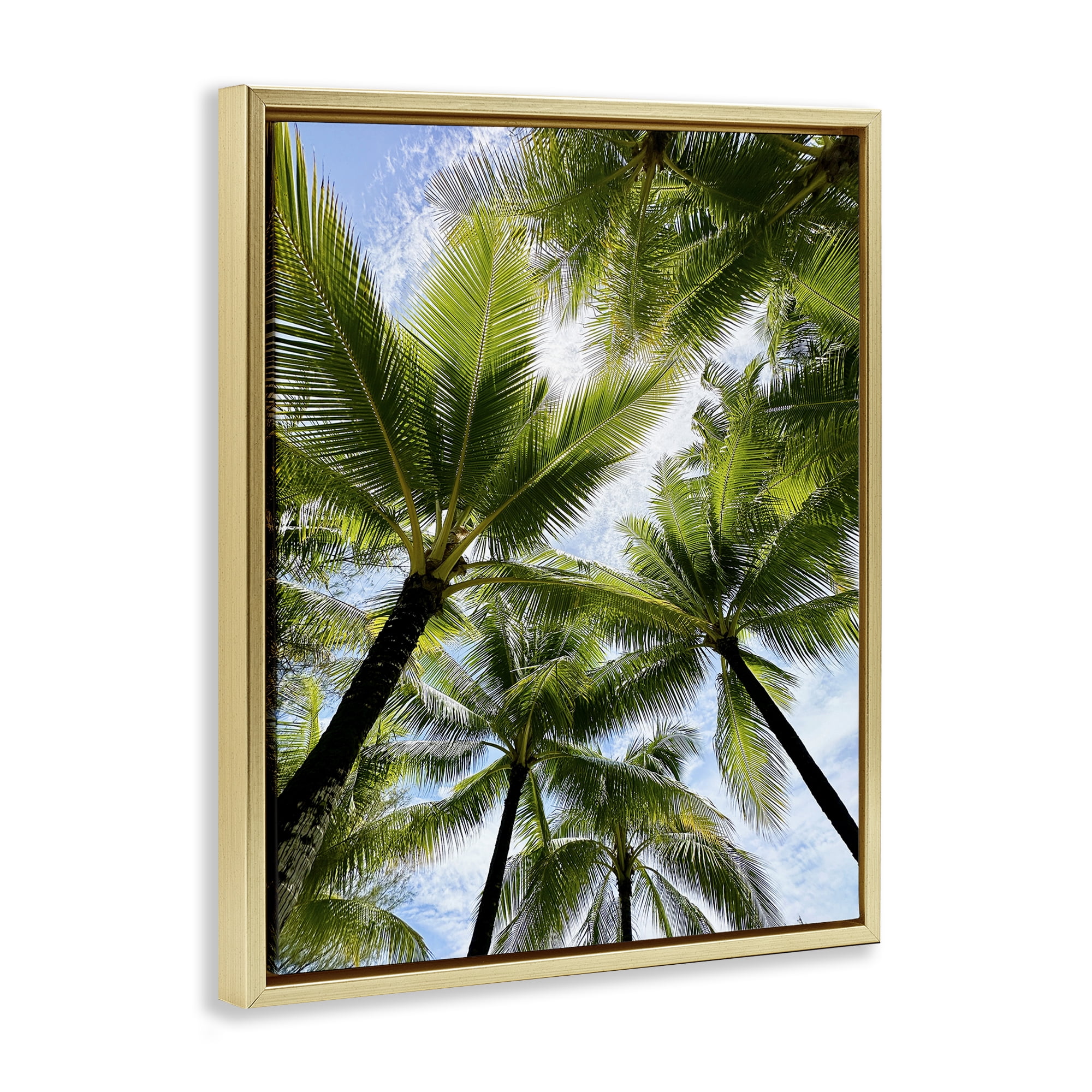 Stupell Industries Overhead Palm Trees Plants & Flowers Photography Gold Floater Framed Canvas Art Print Wall Art, 25 x 31