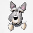 thumbnail image 3 of CafePress - Pocket Schnauzer Toddler T Shirt - Cute Toddler T-Shirt, 100% Cotton, 3 of 4