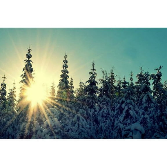 Marmont Hill "Shine Bright" by Robert Dickinson Painting Print on Canvas