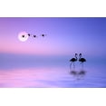 thumbnail image 2 of Hamiti, Bess 18x13 White Modern Wood Framed Museum Art Print Titled - Flying Flamingo, 2 of 4