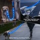 thumbnail image 3 of Correa LED para perros Blinlit, recargable, impermeable, 4 pies de nailon, 3 of 7