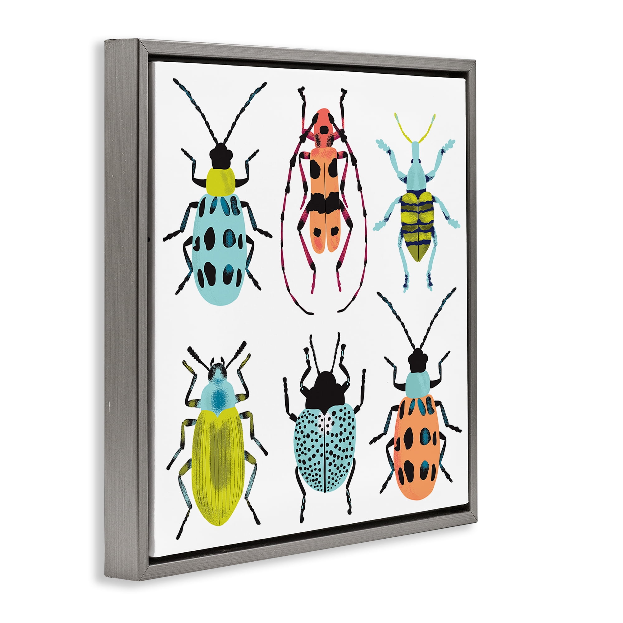 Stupell Industries Beetles & Bugs Collection Gray Framed Floater Canvas Wall Art, design by Metka Hiti