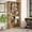 Light Brown, variant on Finmind 75-inch Tall Bookcase, 6-Tier Wooden Bookshelf, Large Freestanding Display Shelves for Living Room, Home Office, Bedroom, Gray