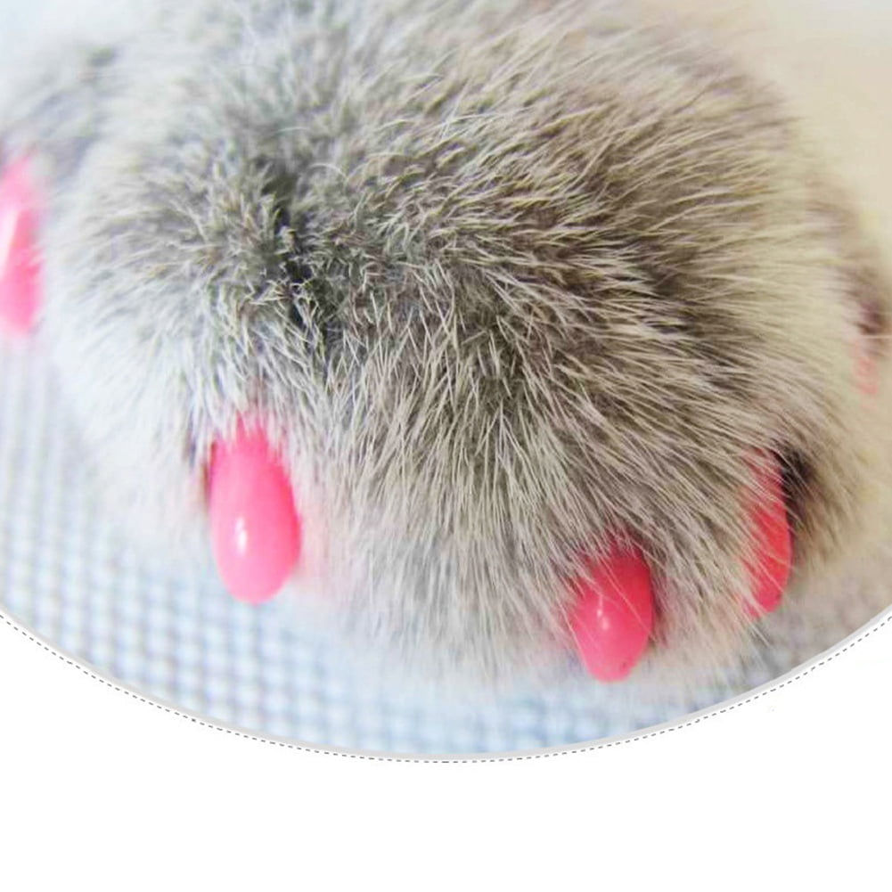 Soft Colorful Rubber Cat Nail Caps Anti Scratch Pet Claw Paws Nail  Protector. | eBay