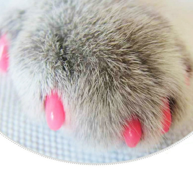 Plastic cat claw covers deals