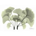 thumbnail image 2 of Koetsier, Albert 14x12 Black Ornate Wood Framed with Double Matting Museum Art Print Titled - Ginkgo in Green, 2 of 4