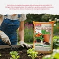 thumbnail image 4 of Michigan Peat Company BACCTO Container Planting Mix with Starter, 1.5 Cubic Feet, 4 of 6