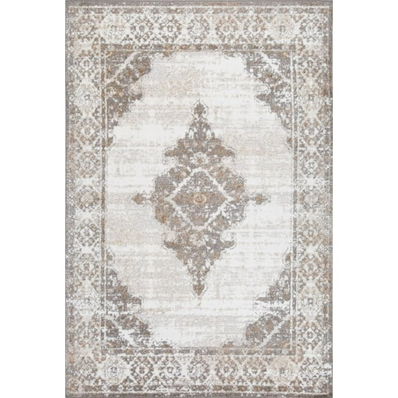 Emily 7x9 Area Rug