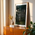 thumbnail image 3 of Untitled - Portland Oregon Photography Forest Nature Woodland Woods Scenic Landscape Mystical Unframed Wall Art Print 12 x 18 inches, 3 of 60