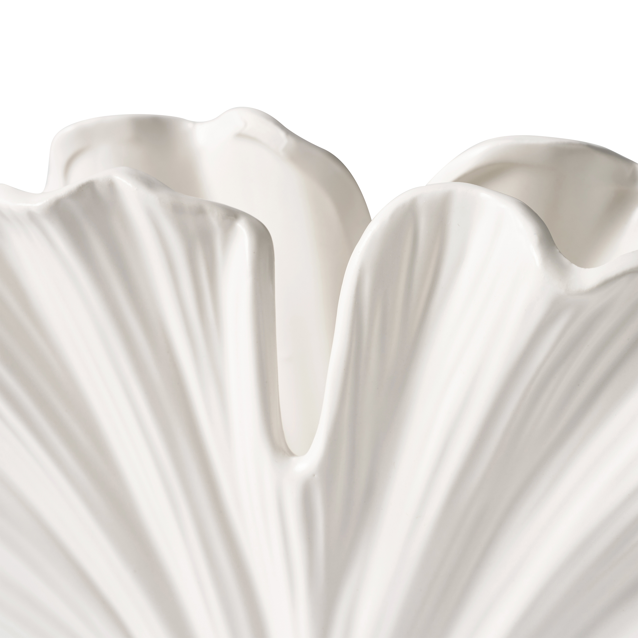 Home Decor Collection White 7" Ceramic Shell Vase