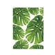 thumbnail image 2 of Lienzo impreso sin marco con hojas de plantas verdes para colgar en la pared, 3 estilos Monstera Deliciosa L, 2 of 9