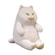 thumbnail image 5 of Gato británico de pelo corto, juguete de peluche para abrazar, modelo de animal para gato Blanco, 5 of 9