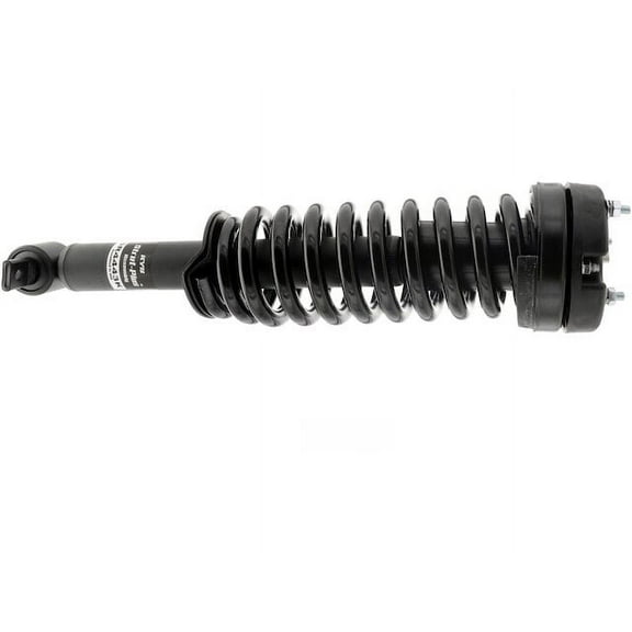 Front Strut and Coil Spring Assembly - Compatible with 2014 - 2020 Ford F-150 2015 2016 2017 2018 2019