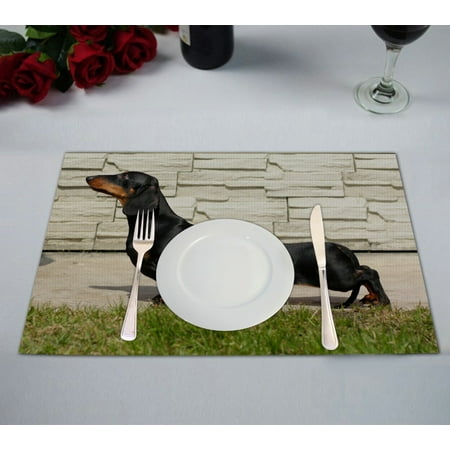 

ABPHQTO Pedigreed Dog Dachshund Show Position Summer Lawn Park Table Placemat Food Mat 12x18 Inch Pack of 2.