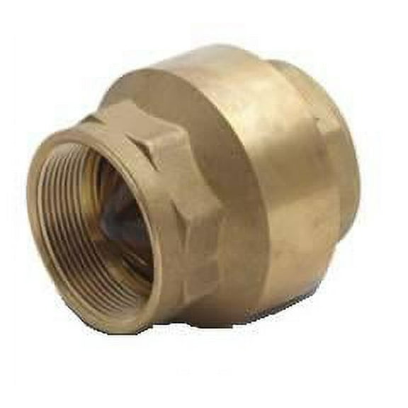 1" In-Line Check Valve Cash Acme 22511-0000